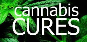 cannabiscures